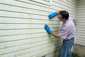 Affordable Siding Repair and Maintenance Services in Bella Vista, CA